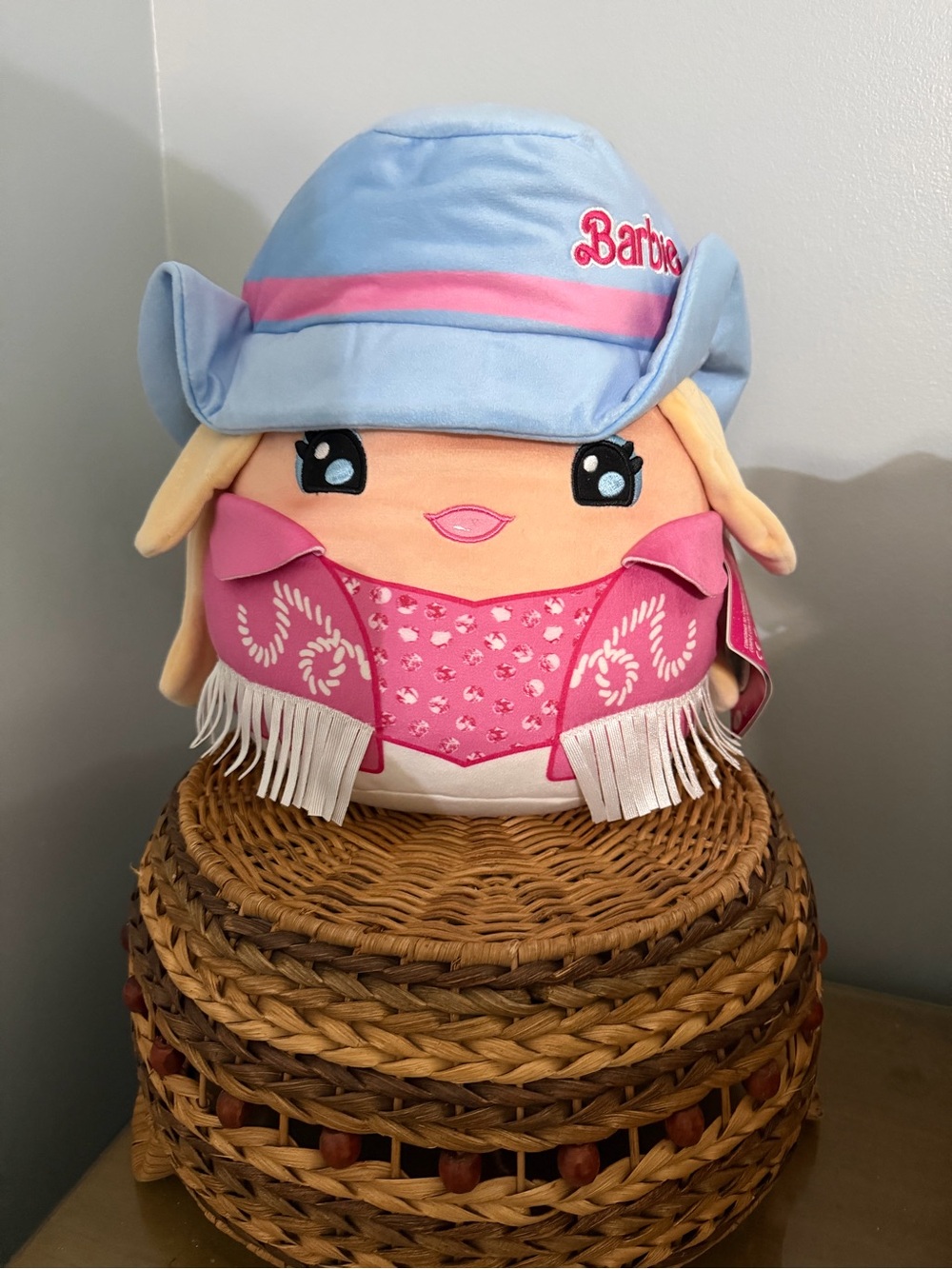 Mattel Barbie Plush Cowgirl - Pink and Light Blue